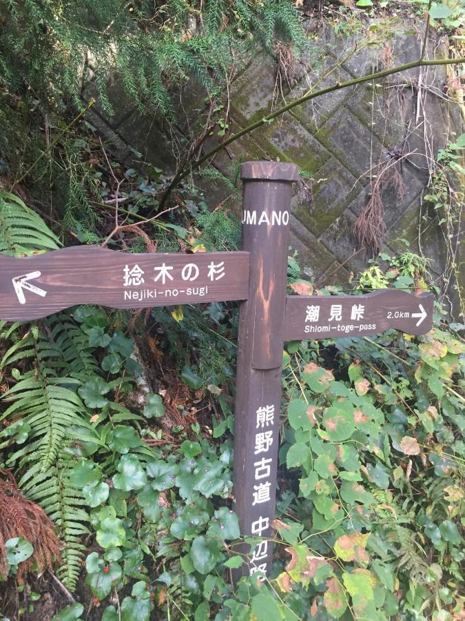 Kumano Winery Guest House Tanabe Dış mekan fotoğraf
